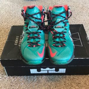 Lebron 12 X-mas edition, Akron birch